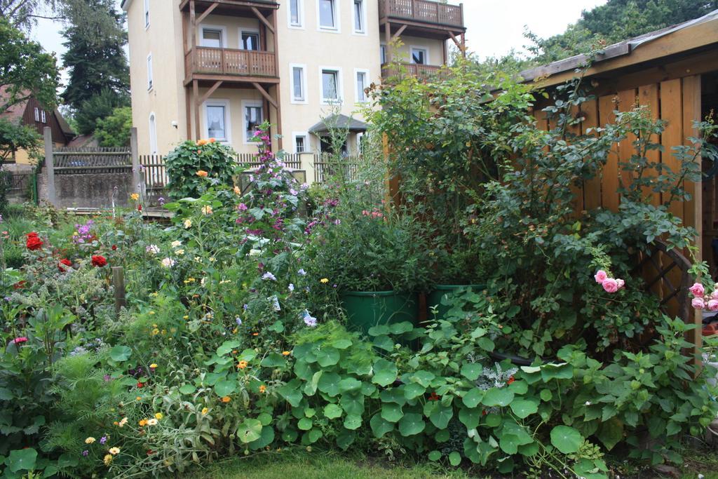 Romantik Landhaus เดรสเดน ภายนอก รูปภาพ